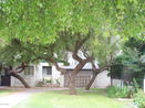 azregional/0141005be93cdc8c6c5965742e60fdb1.jpg?width=131&height=105&format3=webp