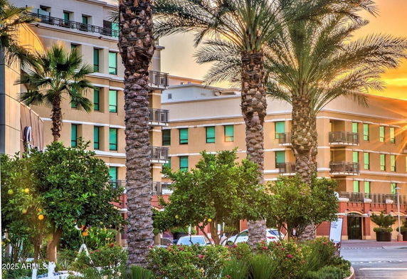 Front view of a multi-story building with balconies and palm trees in front.