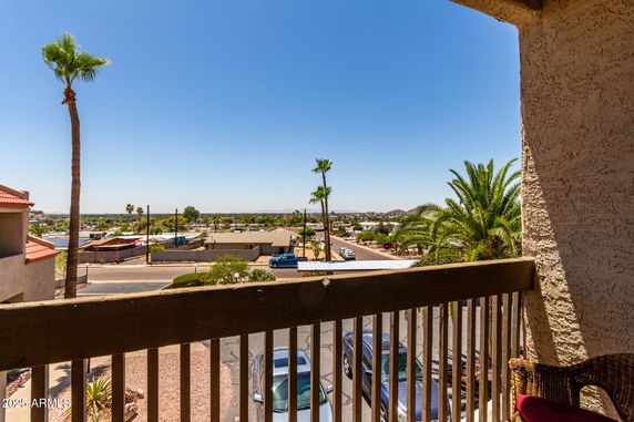 Balcony view of a suburban area with palm trees and a clear sky.