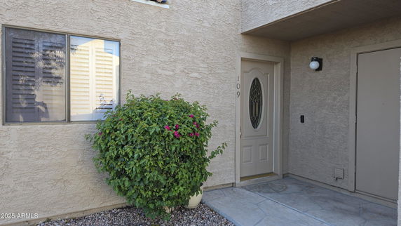 Front view of a house with a textured exterior wall and a decorative door.