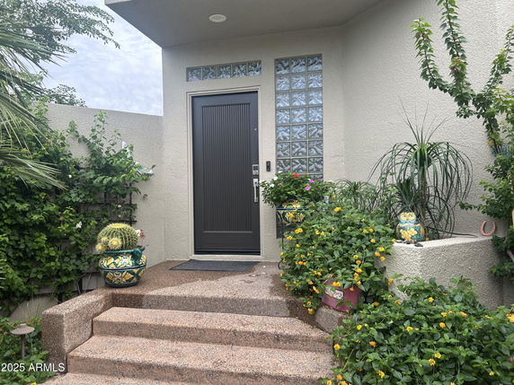 Front view of a house entrance with a modern door and decorative plants.