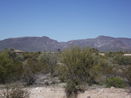 azregional/3eab54d7d7593b09d74ec6f504d2b49c.jpg?width=131&height=105&format3=webp