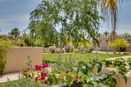 azregional/3f090fc5cb9131bc3a2ebe953ce5c41f.jpg?width=131&height=105&format3=webp