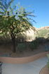 azregional/485ce2304d9036c0340ad3414e99df3c.jpg?width=131&height=105&format3=webp
