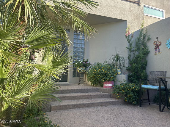 Front view of a house entryway with steps and potted plants.