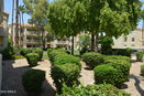 azregional/532568d068a813d2e0e04106bb197691.jpg?width=131&height=105&format3=webp