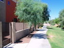 azregional/5964c516e6f04d8833352ba28f00084e.jpg?width=131&height=105&format3=webp