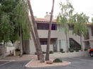 azregional/5ac3e1ba64ee187837fcde99c2cac355.jpg?width=131&height=105&format3=webp