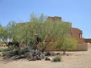 azregional/5b8061c8f42407acc0788b3e9121c0ee.jpg?width=131&height=105&format3=webp