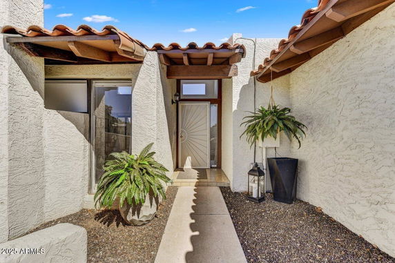 Front view of a house entrance with a decorative door and clay roof tiles.