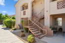 azregional/68aea333f6581cc697fb44b902344aca.jpg?width=131&height=105&format3=webp