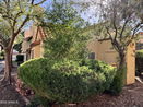 azregional/6e197f1435beb87b331e06d738ee5dab.jpg?width=131&height=105&format3=webp