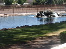 azregional/6e8347164fecbabddf6cace3bad87bea.jpg?width=131&height=105&format3=webp