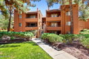 azregional/805fe270a924cd62a558f0cc7b6f1b63.jpg?width=131&height=105&format3=webp