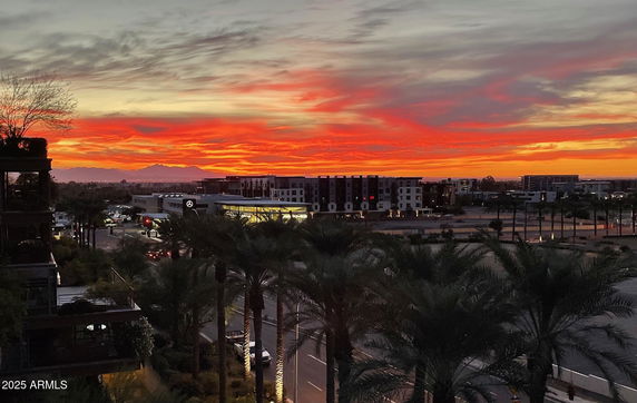 Wide-angle view of a sunset over a cityscape with buildings and palm trees.