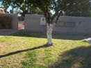azregional/8163e5bd655fb8c3b69113120303eb0a.jpg?width=131&height=105&format3=webp