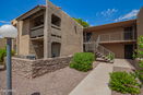 azregional/89922a6d0b8f9503059eefd1c6373ecb.jpg?width=131&height=105&format3=webp