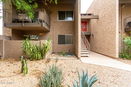 azregional/976d1743d20c5856c3cc3caedf860c77.jpg?width=131&height=105&format3=webp