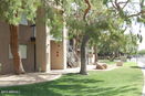 azregional/a01e47af240ccb7ce23c79c3659f25fd.jpg?width=131&height=105&format3=webp
