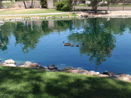 azregional/ae222f536afe4fccbb6ce92ab98d7bda.jpg?width=131&height=105&format3=webp