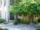 azregional/afd3fedb25d4610d172e9d4b7e5e4044.jpg?width=131&height=105&format3=webp