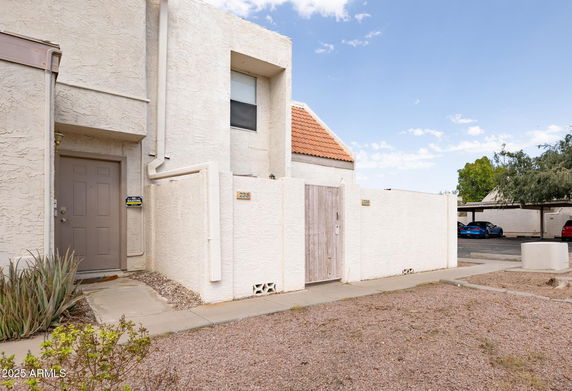 Front view of a house with a textured wall and a brown door.