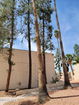 azregional/b7fed73b4810c086f10501c172e017cc.jpg?width=131&height=105&format3=webp