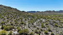 azregional/bcc04a0301cdc5170ce629e6c3ea4ab4.jpg?width=131&height=105&format3=webp
