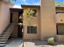 azregional/c46166592abd56a0499b09adea21dd7b.jpg?width=131&height=105&format3=webp