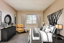 azregional/c91c59361a3ea530135350ad15e44fe1.jpg?width=131&height=105&format3=webp