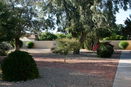 azregional/c9d68429974f68f68432fef0ce1b82b2.jpg?width=131&height=105&format3=webp
