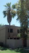 azregional/cc82b16240d0ba4c32a2aa0184d9b117.jpg?width=131&height=105&format3=webp