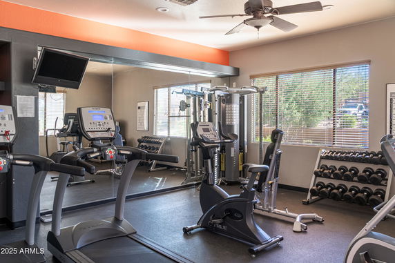 Interior view of a gym with exercise equipment, mirrors, and windows.
