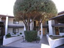 azregional/d17120dcea0d6e8712670e17faaf57e2.jpg?width=131&height=105&format3=webp