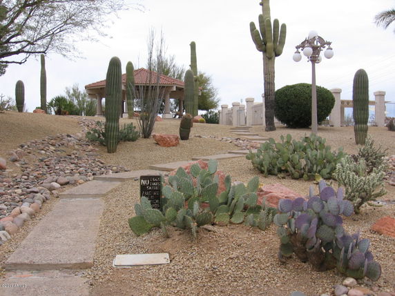 Community Image