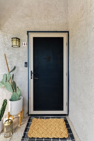 Front view of a house entrance with a black door and decorative doormat.