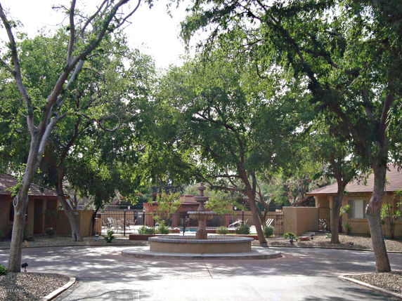 Community Image
