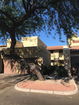 azregional/e677a1c7e5828de5bcc720193505c0fd.jpg?width=131&height=105&format3=webp