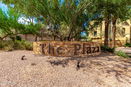 azregional/ed070fc5272af2422165060e24230f40.jpg?width=131&height=105&format3=webp