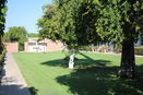 azregional/f07165cee24fd662396b702e497e2fbf.jpg?width=131&height=105&format3=webp
