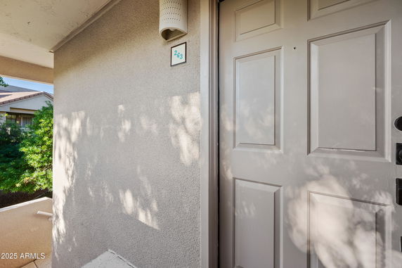 Front view of an entrance door with house number 263.