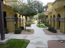 azregional/f3d23ca1eb454910ae3023a873308628.jpg?width=131&height=105&format3=webp