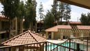 azregional/f863066516514074fb72752cebe6cd1f.jpg?width=131&height=105&format3=webp