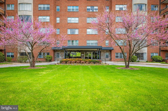 Front view of a multi-story brick building with flowering trees.