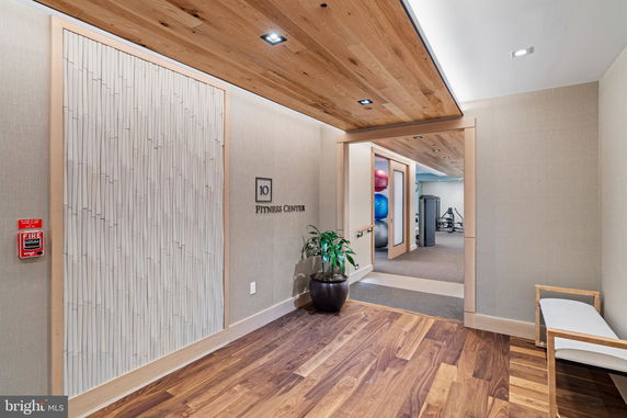 Entrance to a fitness center with wooden flooring and ceiling, potted plant, and visible gym equipment.