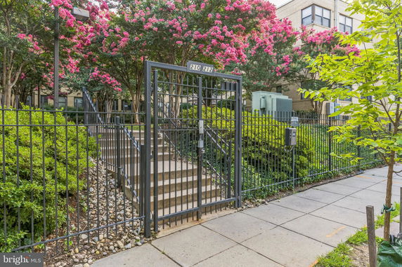Front view of a building with a gated entrance and staircase surrounded by flowering trees.