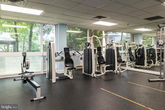 Interior view of a gym with exercise machines and large windows.