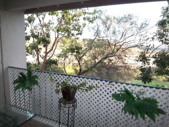 View from a balcony with plants and trees in the background.