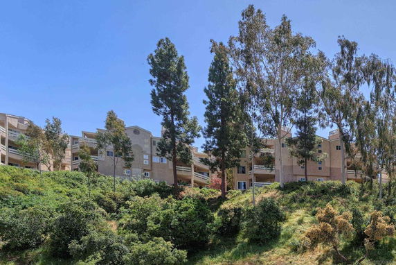 Front view of a multi-story apartment building with balconies and surrounded by trees.