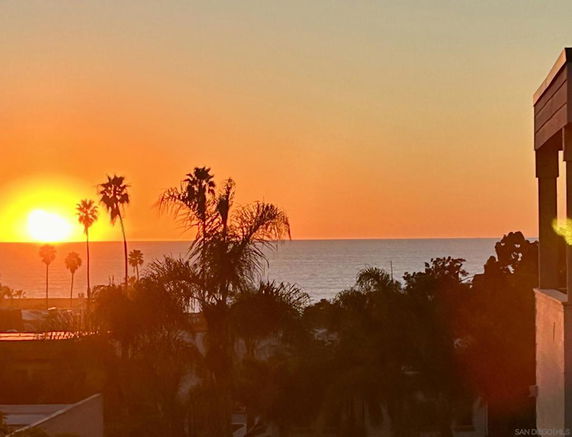 Panoramic view of the sunset over the ocean with silhouetted palm trees.